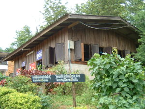 Kindergarten