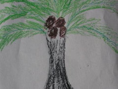 Creation